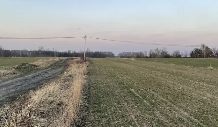 Działka rolna Golędzin
