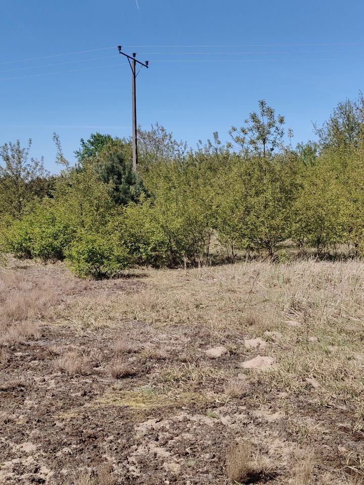 Działka budowlana Modzerowo. Zdjęcie 4