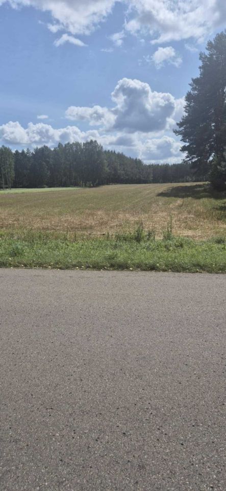 Działka budowlana Kaczka. Zdjęcie 2