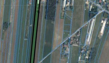 Nieruchomość komercyjna Pustki