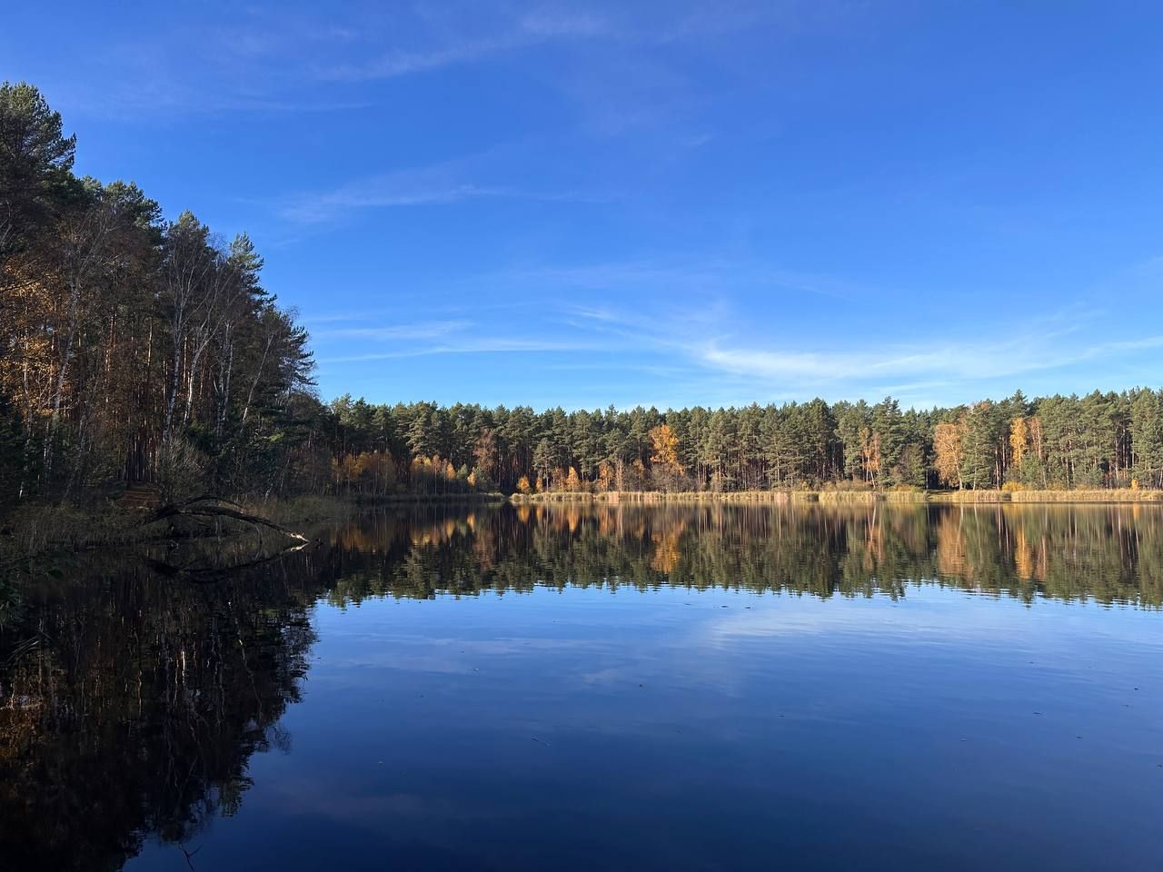 Działka budowlana Chełmica. Zdjęcie 8
