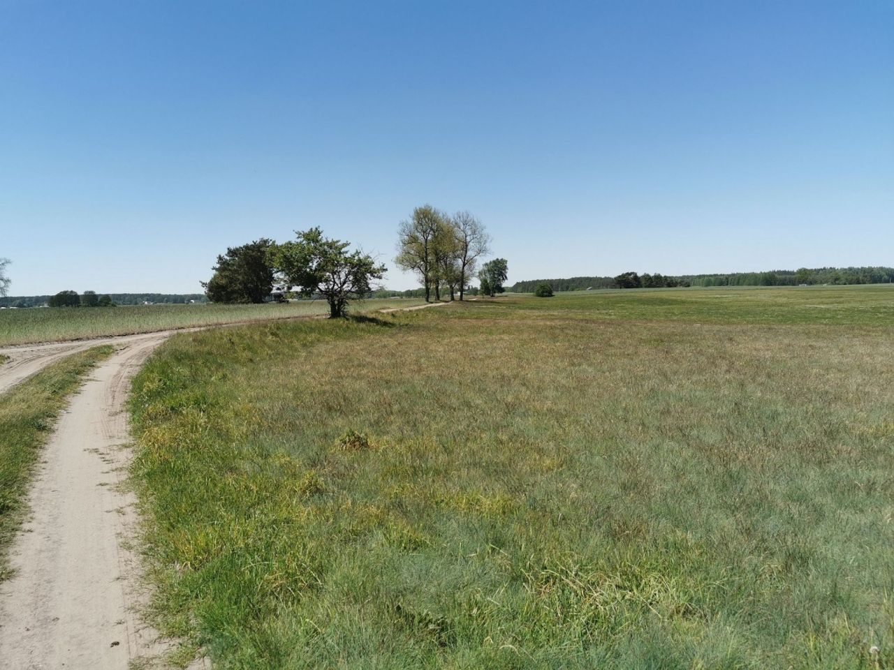 Działka rolna Święta. Zdjęcie 12