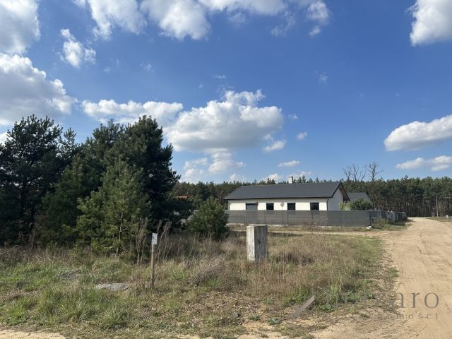 Działka rolna Lisi Ogon. Zdjęcie 8