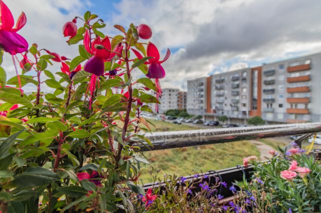 Mieszkanie 2-pokojowe Reda Centrum, ul. Obwodowa. Zdjęcie 13