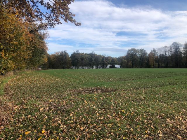 Działka rolno-budowlana Stara Wieś Stara Wieś Dolna, ul. Lipowa. Zdjęcie 2