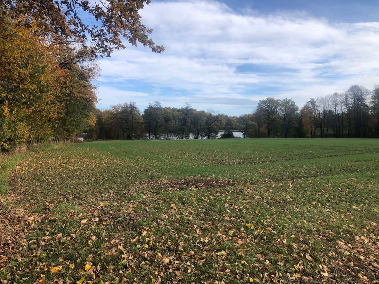 Działka rolno-budowlana Stara Wieś Stara Wieś Dolna, ul. Lipowa. Zdjęcie 2
