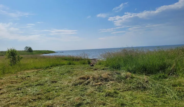 Działka inwestycyjna Suchacz