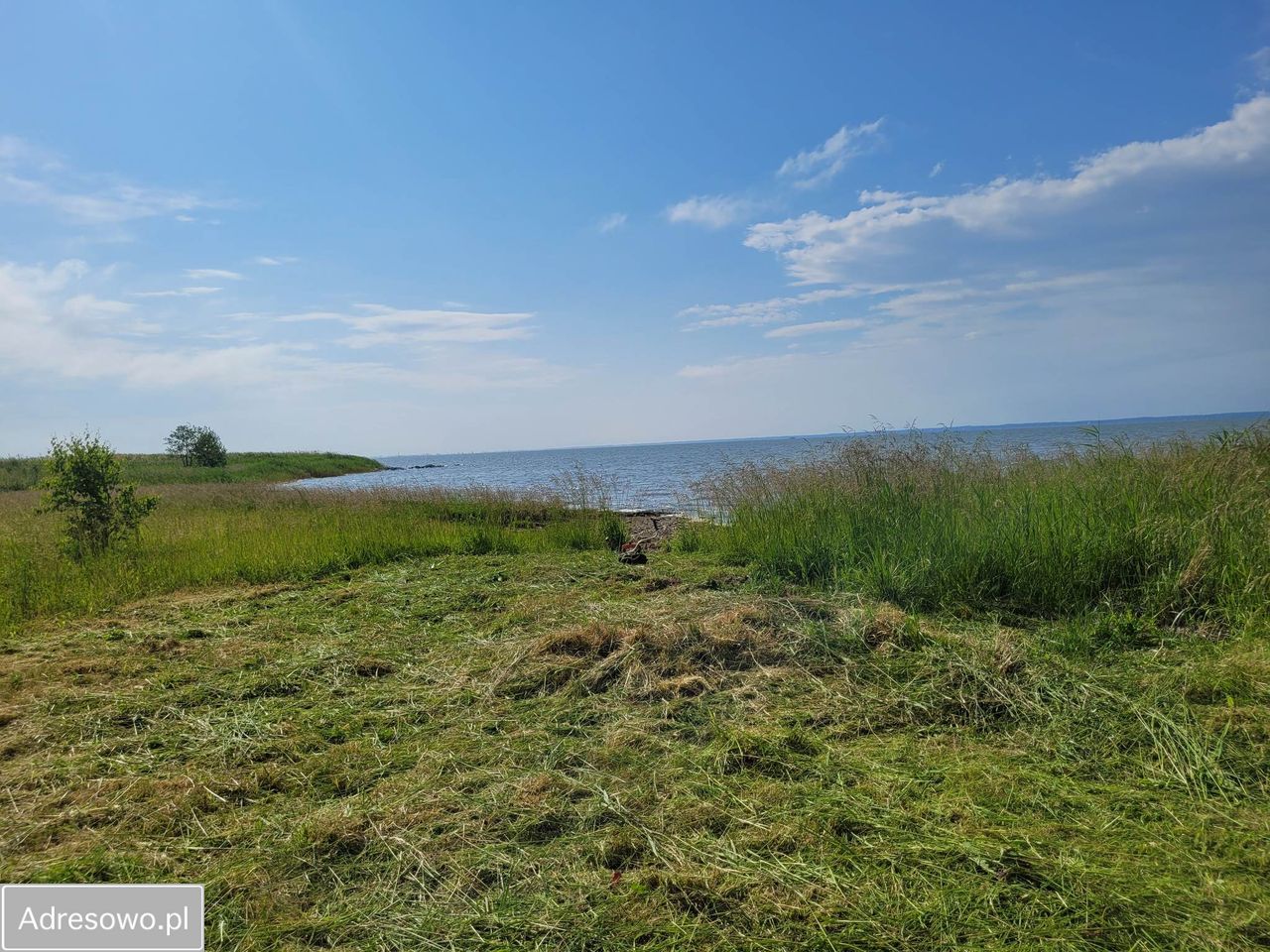 Działka inwestycyjna Suchacz. Zdjęcie 1