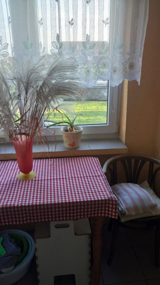 dom wolnostojący, 2 pokoje Ostrowiec Świętokrzyski Zygmuntówka, ul. Zygmuntówka. Zdjęcie 30