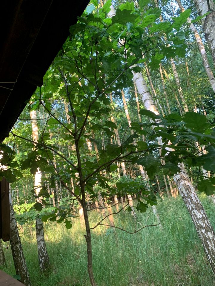 Działka rolno-budowlana Biskupin. Zdjęcie 11