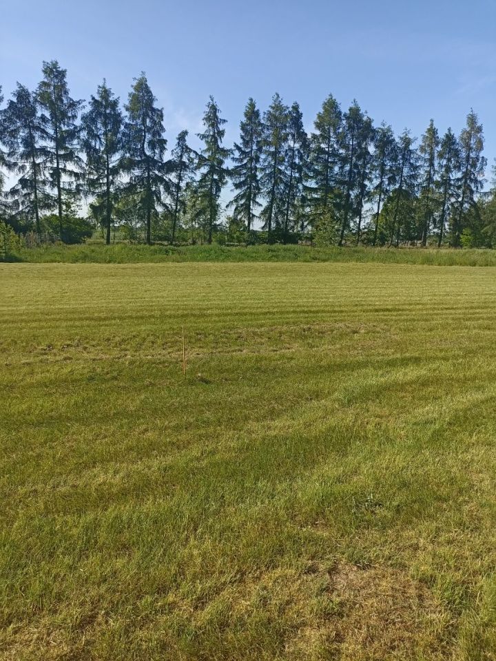 Działka budowlana Elżbiecin. Zdjęcie 5