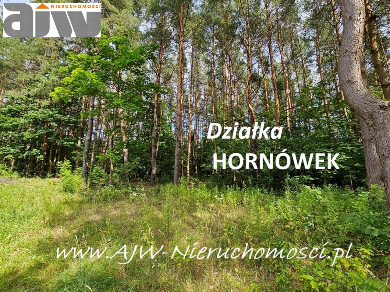 Działka budowlana Hornówek. Zdjęcie 2