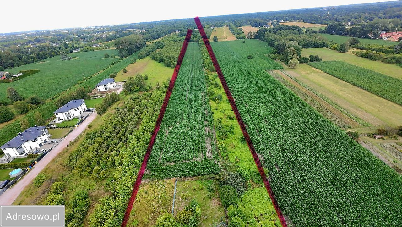 Działka inwestycyjna Natolin. Zdjęcie 7