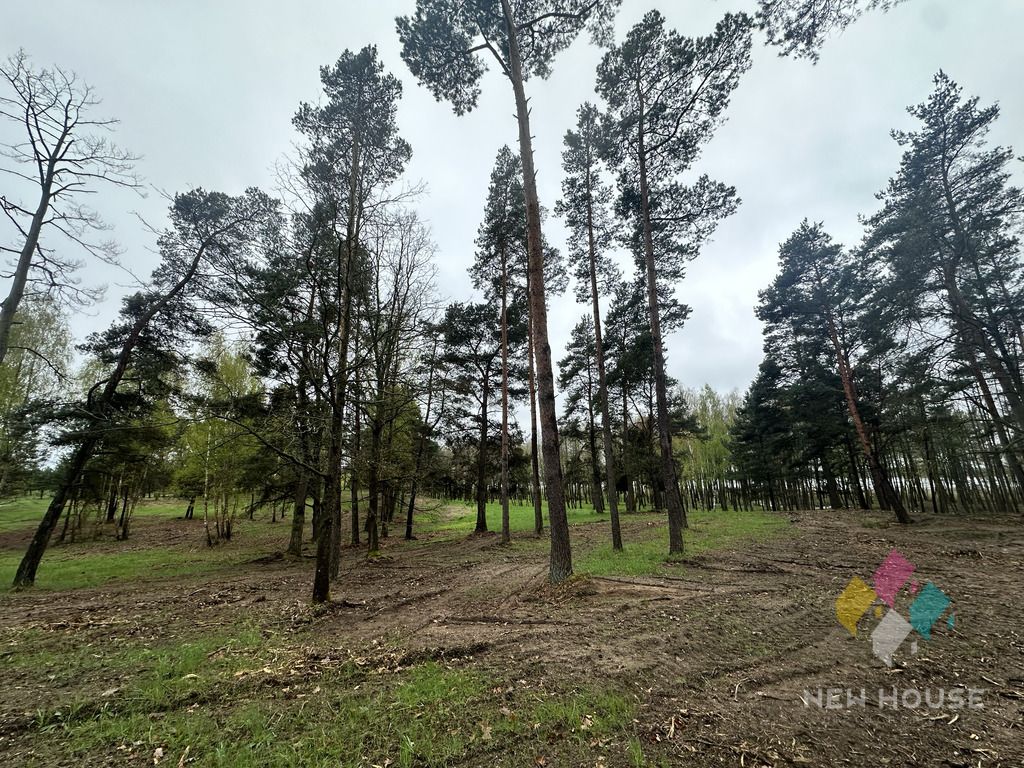 Działka budowlana Tałty. Zdjęcie 16