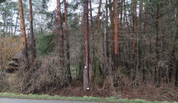 Działka leśna Radków