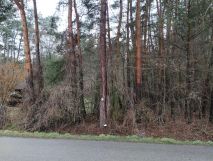 Działka leśna Radków