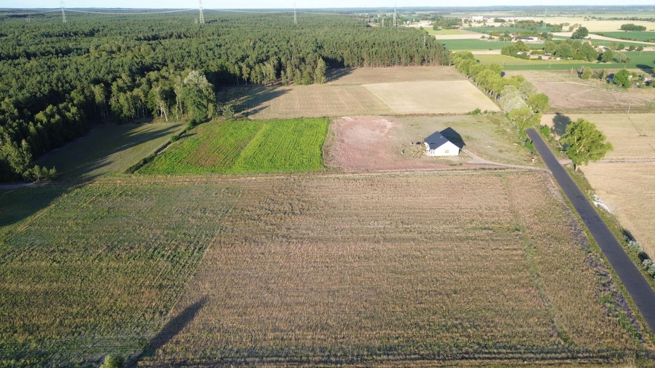Działka budowlana Dąbrowa Wielka. Zdjęcie 6