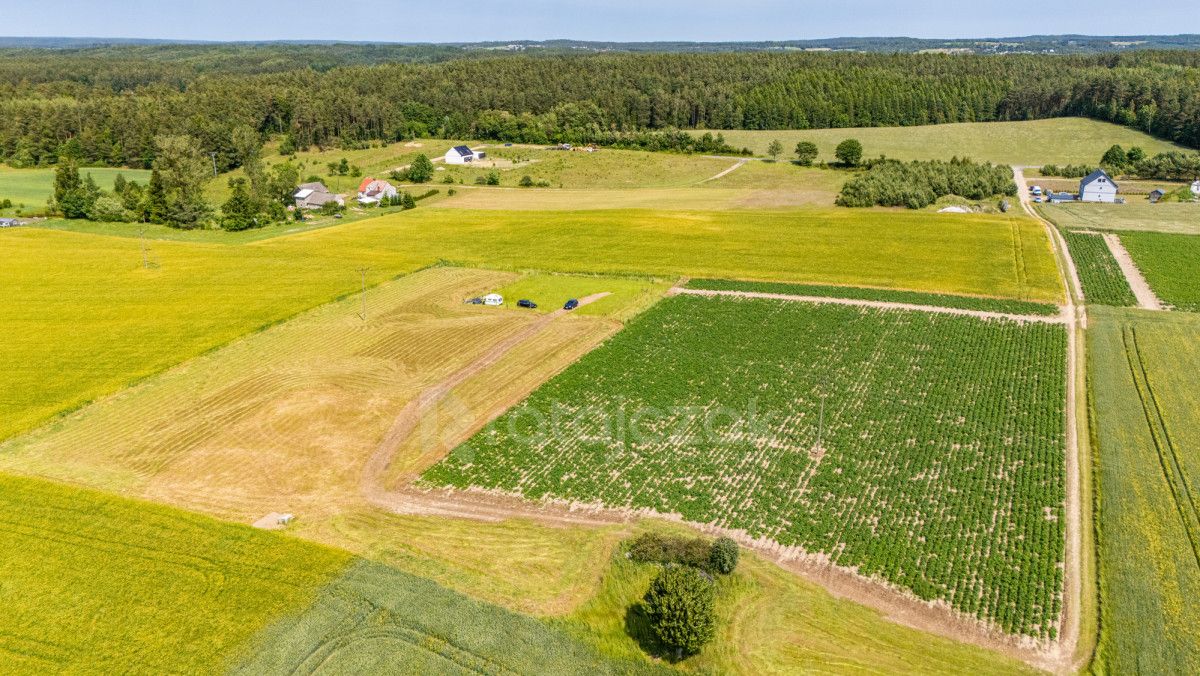 Działka budowlana Robakowo, ul. Królewska. Zdjęcie 15