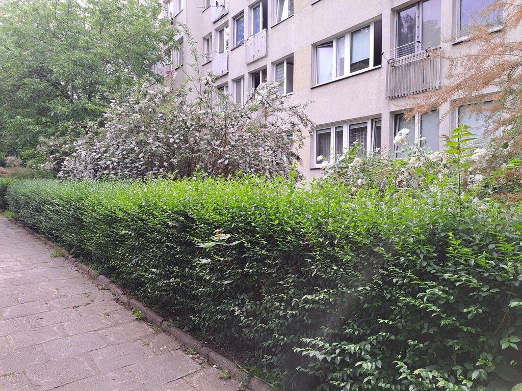 Mieszkanie 2-pokojowe Wrocław Szczepin, ul. Stefana Czarnieckiego. Zdjęcie 21