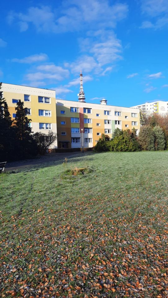 Mieszkanie 3-pokojowe Poznań Piątkowo, os. Bolesława Chrobrego