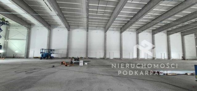 Hala/magazyn Rzeszów Dworzysko, ul. Biznesowa. Zdjęcie 9