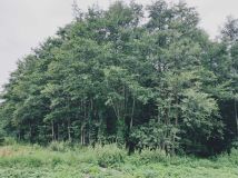 Działka rolna Dołhobyczów-Kolonia kolonia. Zdjęcie 1