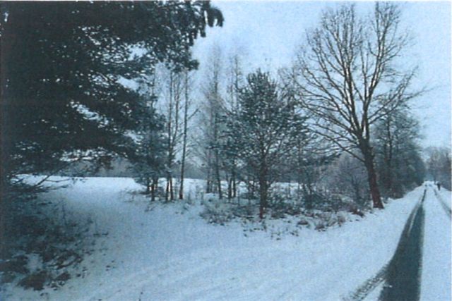 Działka rolna Śladów, brak. Zdjęcie 7