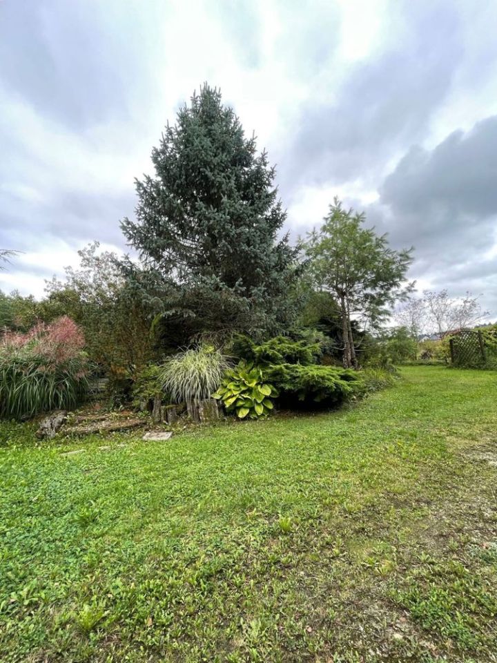 Działka inwestycyjna Skiby. Zdjęcie 6