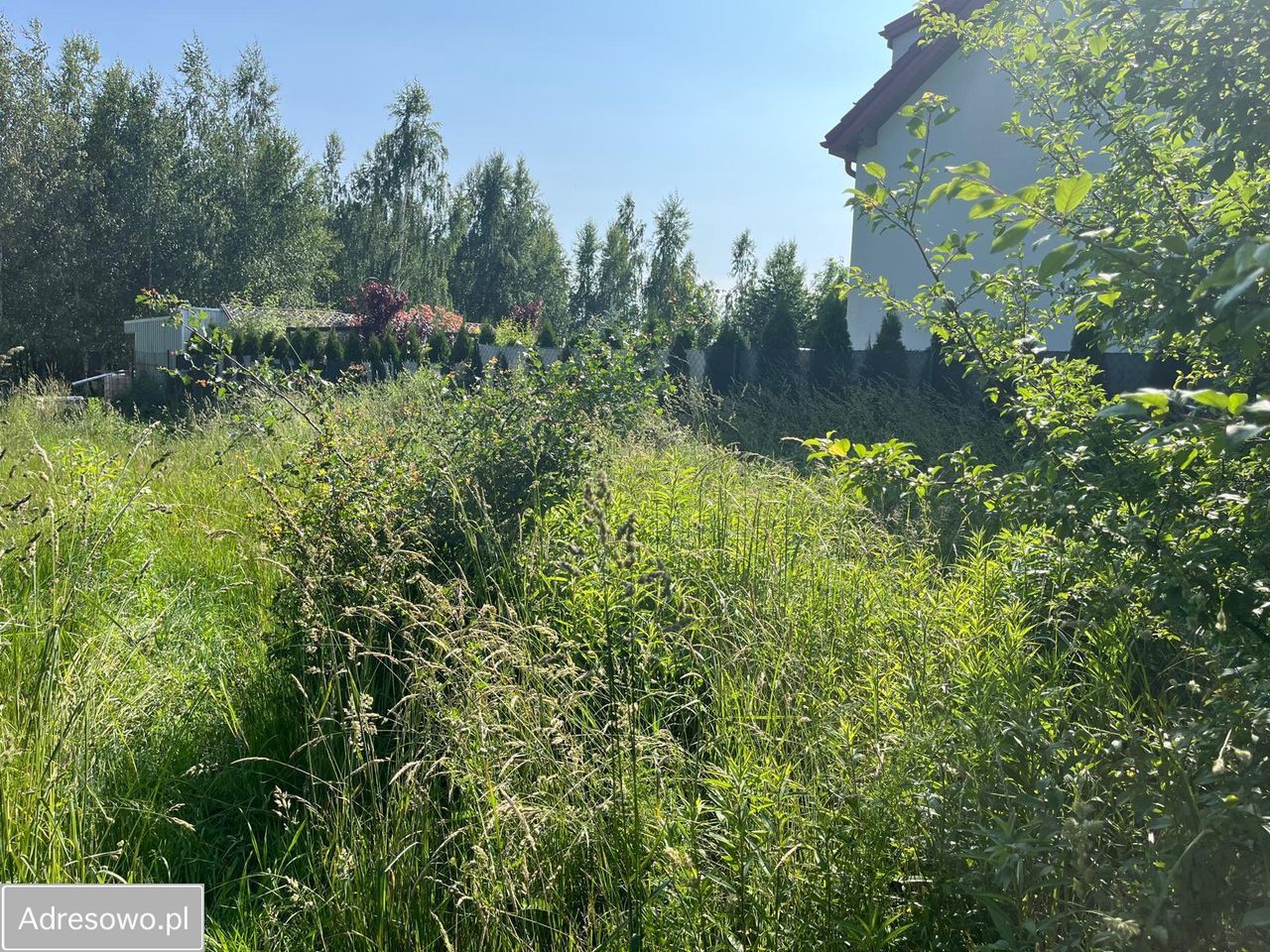 Działka budowlana Chmielów. Zdjęcie 2