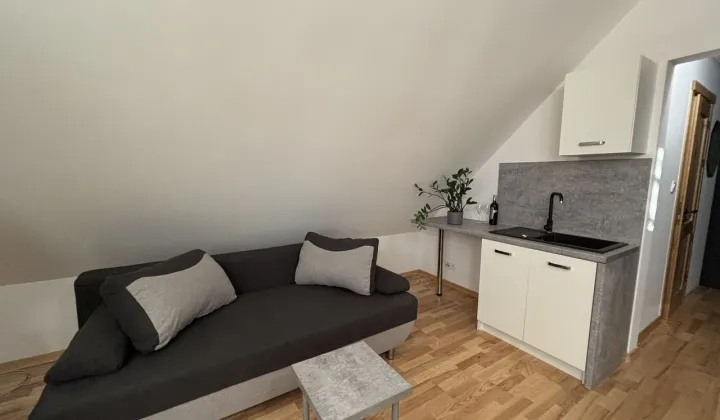 Mieszkanie 1-pokojowe Lipno