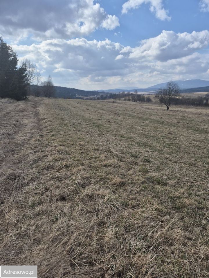 Działka rolna Podsarnie. Zdjęcie 4