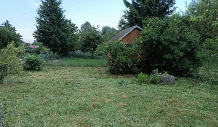 Działka rod Chełm, ul. Żabia