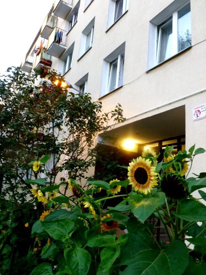 Mieszkanie 2-pokojowe Warszawa Bródno, ul. Toruńska. Zdjęcie 11