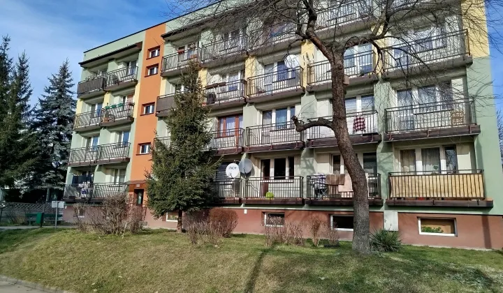 Mieszkanie 1-pokojowe Dąbrowa Górnicza Reden , ul. Cypriana Kamila Norwida