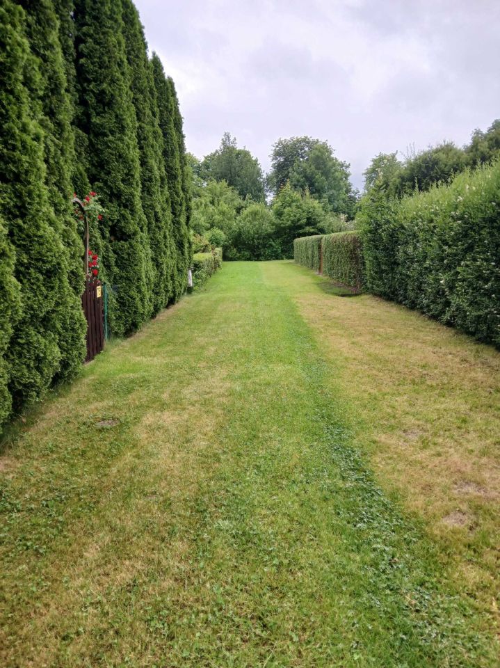 Działka rod Wrzosowa. Zdjęcie 7