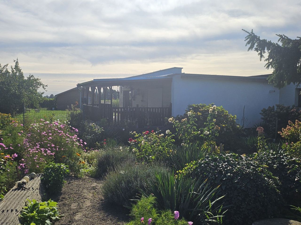 bliźniak Gębarzewko