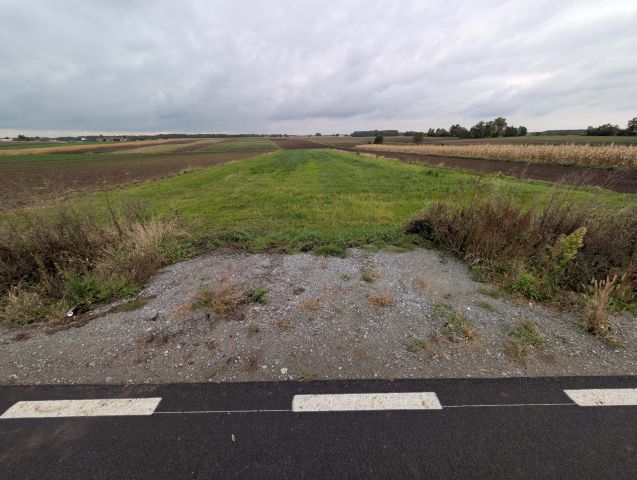 Działka rolna Małgów. Zdjęcie 1