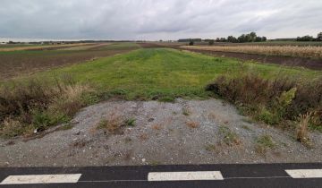 Działka rolna Małgów