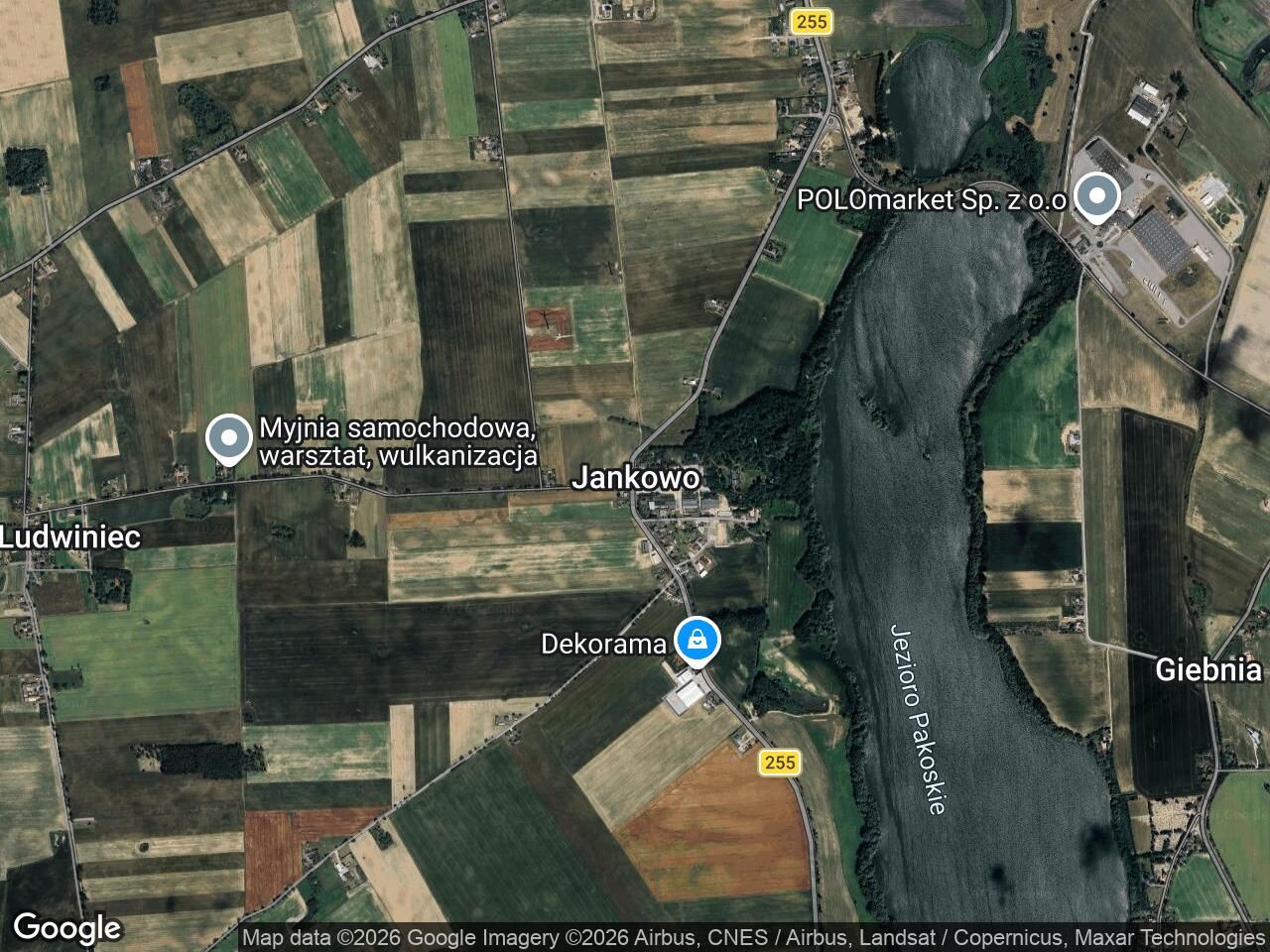 bliźniak Jankowo. Zdjęcie 1