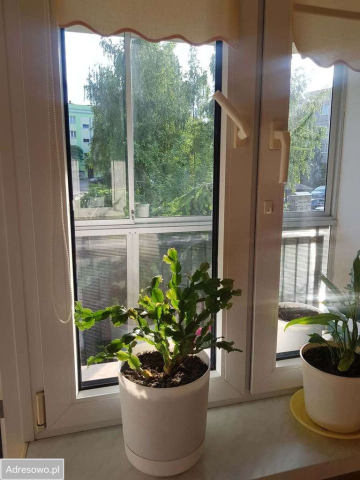 Mieszkanie 3-pokojowe Suwałki, ul. Północna. Zdjęcie 16