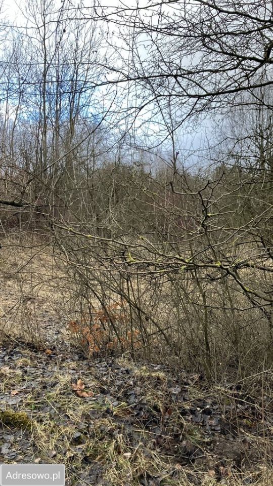 Działka inwestycyjna Dąbrowa Górnicza. Zdjęcie 2