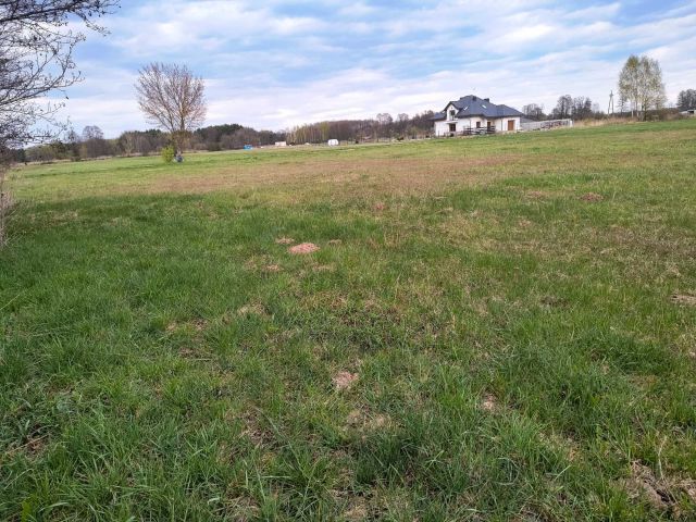 Działka budowlana Krubki-Górki. Zdjęcie 1