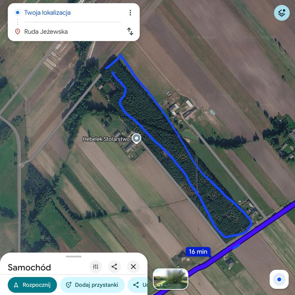 Działka leśna Ruda Jeżewska. Zdjęcie 7