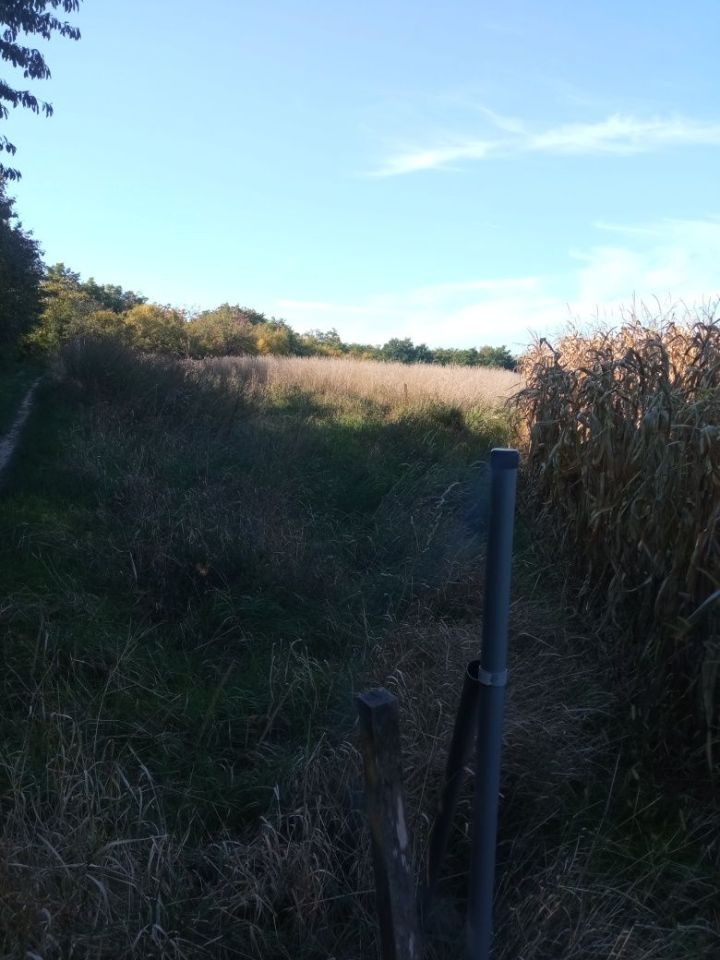 dom wolnostojący Pomorzowice. Zdjęcie 4