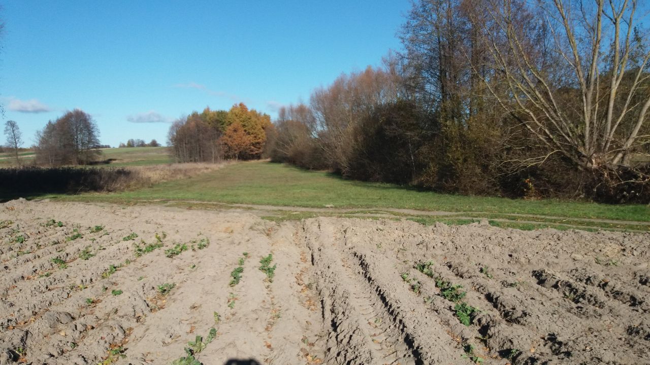 Działka rolna Choiny Obręb. Zdjęcie 3