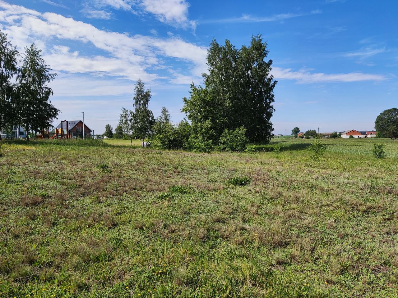 Działka rolna Krężna. Zdjęcie 2