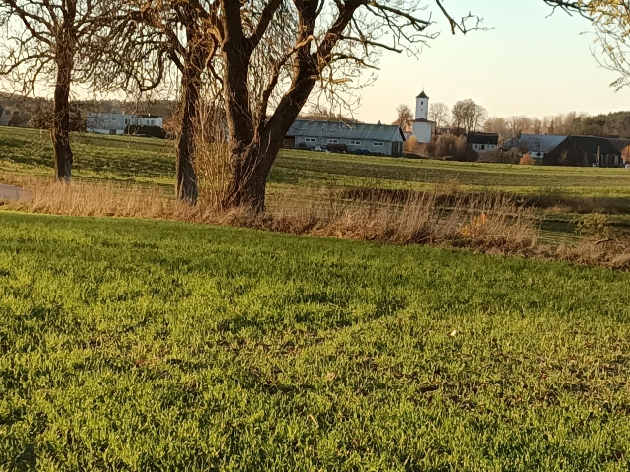 Działka rolno-budowlana Niedamowo. Zdjęcie 19