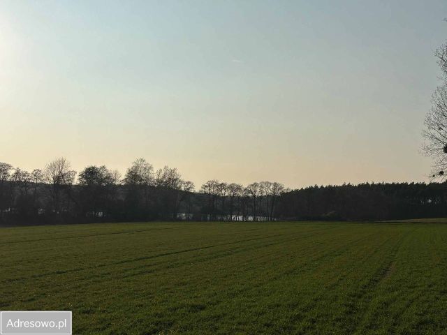 Działka budowlana Złotniczki, ul. Błękitna. Zdjęcie 1