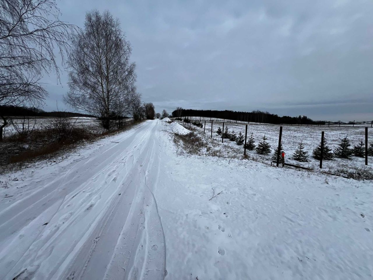 Działka rolno-budowlana Orzechowo. Zdjęcie 4