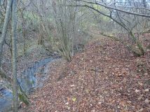 Działka Bystra. Zdjęcie 2